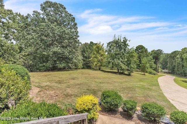 200 Saxon Creek Rd, Goodwater, AL 35072 - photo 68