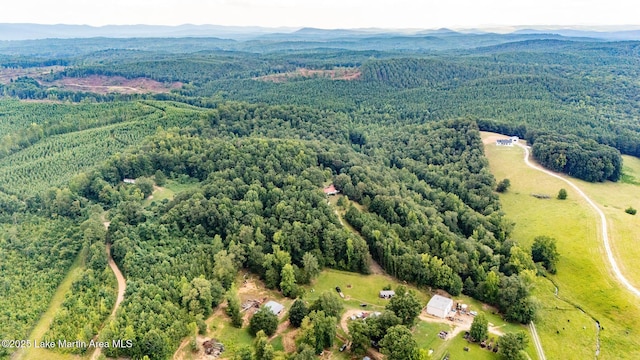 200 Saxon Creek Rd, Goodwater, AL 35072 - photo 40
