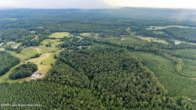 200 Saxon Creek Rd, Goodwater, AL 35072 - photo 32