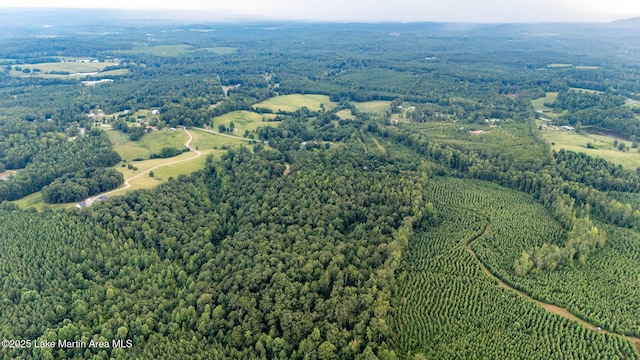 200 Saxon Creek Rd, Goodwater, AL 35072 - photo 34