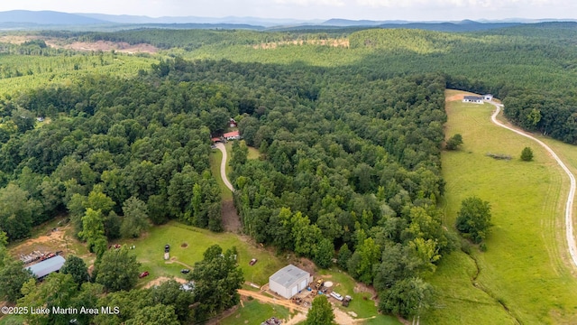 200 Saxon Creek Rd, Goodwater, AL 35072 - photo 12