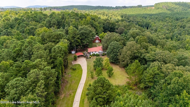 200 Saxon Creek Rd, Goodwater, AL 35072 - photo 1