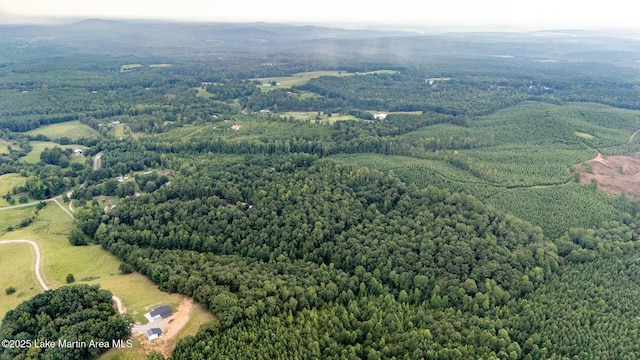 200 Saxon Creek Rd, Goodwater, AL 35072 - photo 30