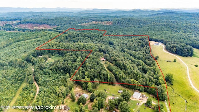 200 Saxon Creek Rd, Goodwater, AL 35072 - photo 39