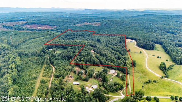 200 Saxon Creek Rd, Goodwater, AL 35072 - photo 37
