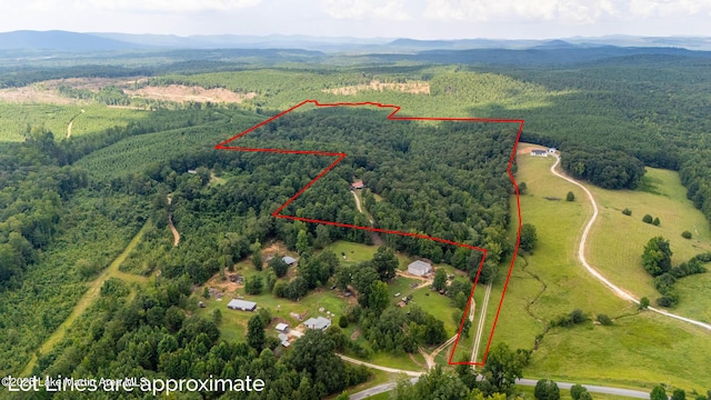 200 Saxon Creek Rd, Goodwater, AL 35072 - photo 13