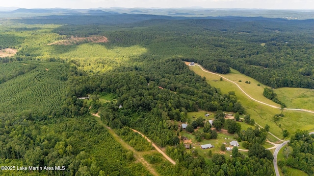 200 Saxon Creek Rd, Goodwater, AL 35072 - photo 18