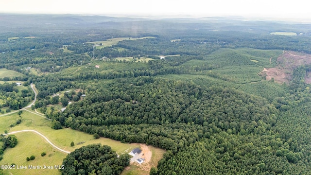 200 Saxon Creek Rd, Goodwater, AL 35072 - photo 28