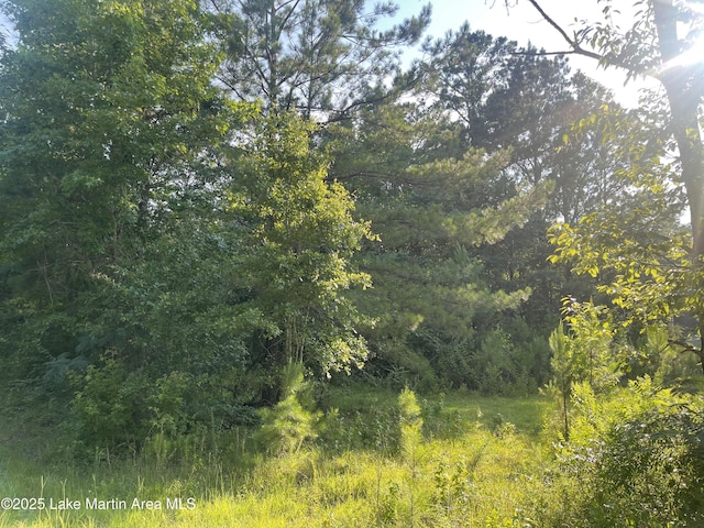 Peckerwood Rd, Jacksons Gap, AL 36861
