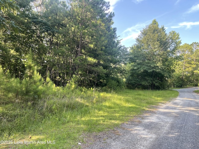Peckerwood Rd, Jacksons Gap, AL 36861