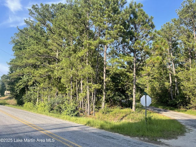 Peckerwood Rd, Jacksons Gap, AL 36861