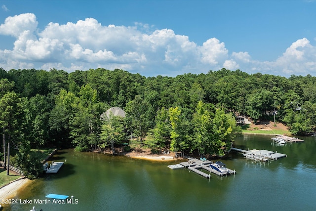 water view with a dock