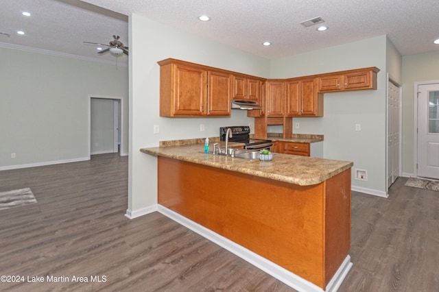 kitchen featuring kitchen peninsula, black range with electric cooktop, a textured ceiling, dark wood-type flooring, and sink