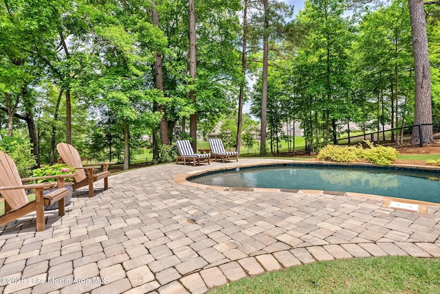 view of pool featuring a patio area