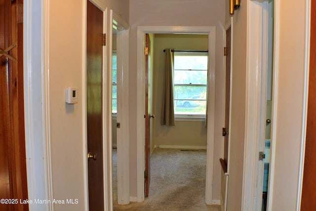 240 Windsor Dr, Alexander City, AL 35010 - hallway with carpet flooring and baseboards