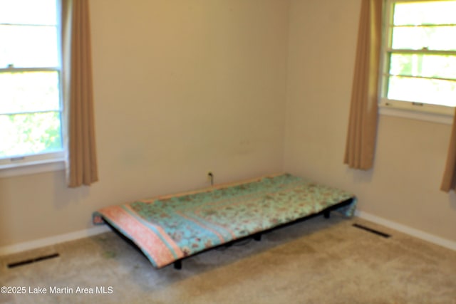240 Windsor Dr, Alexander City, AL 35010 - carpeted bedroom featuring multiple windows and baseboards