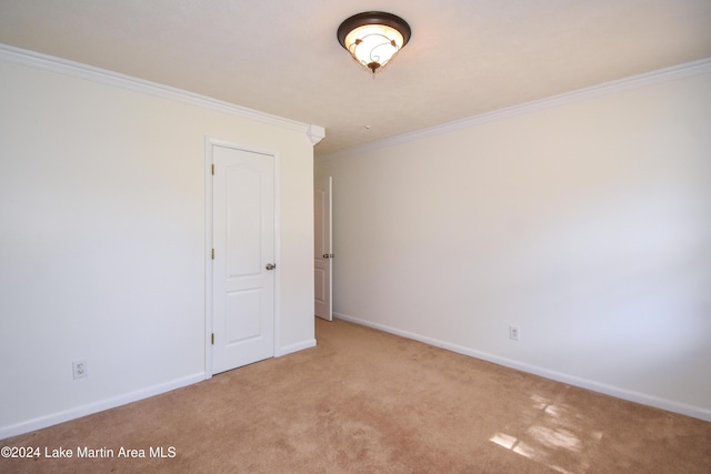 carpeted spare room with crown molding