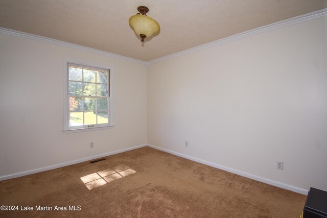 spare room featuring carpet flooring and crown molding