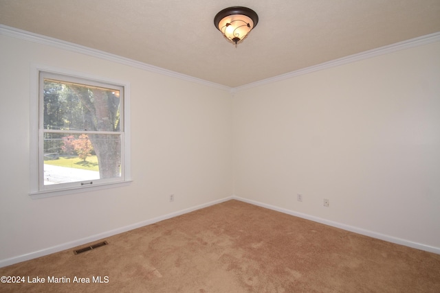 empty room featuring carpet floors and ornamental molding