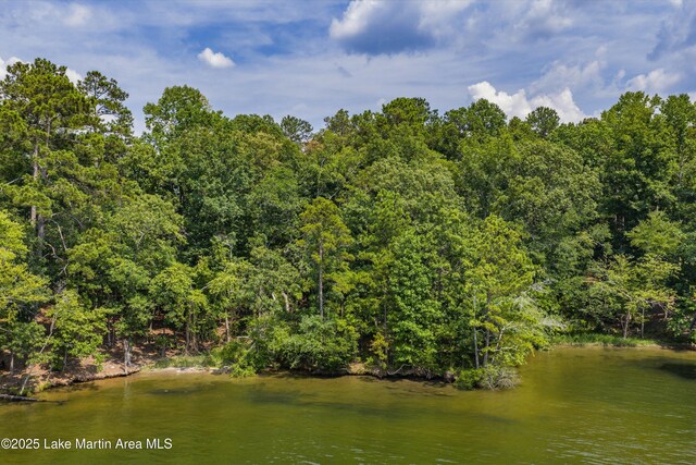 63 Trout Lily Ln, Dadeville, AL 36853 - photo 9