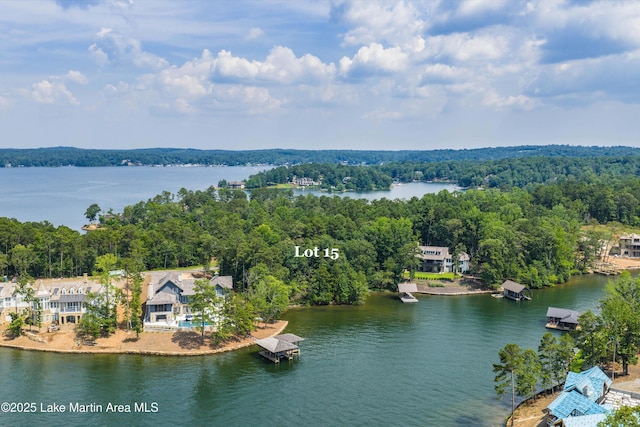 63 Trout Lily Ln, Dadeville, AL 36853 - photo 11