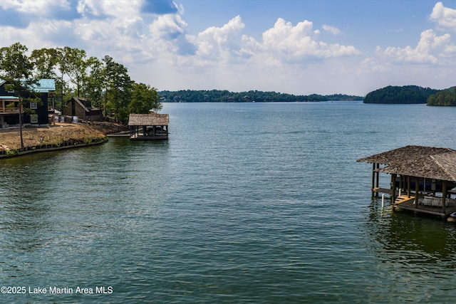63 Trout Lily Ln, Dadeville, AL 36853 - photo 8