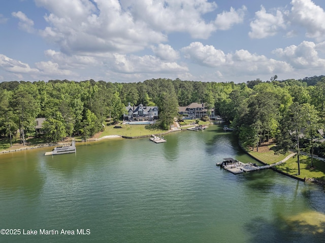 1071 Trillium W Pkwy, Eclectic, AL 36024 - property view of water featuring a view of trees and a dock