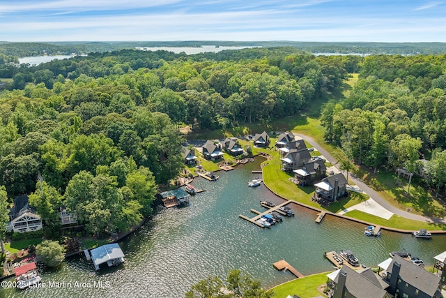 201 Landing Dr, Dadeville, AL 36853 - photo 4