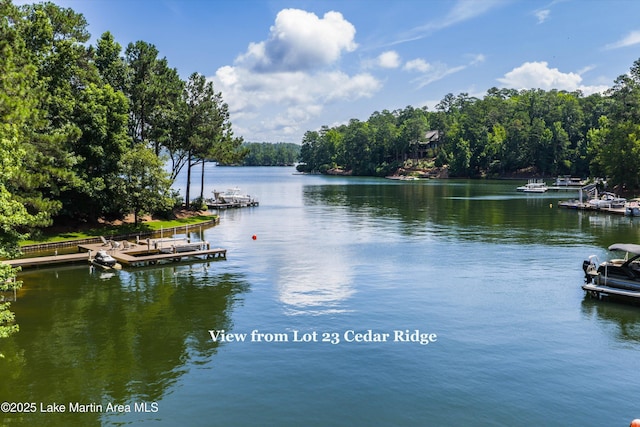 74 Cedar Rdg, Alexander City, AL 35010 - water view featuring a boat dock