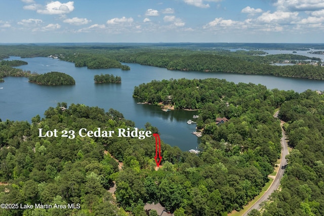 74 Cedar Rdg, Alexander City, AL 35010 - drone / aerial view of a forest and a large body of water