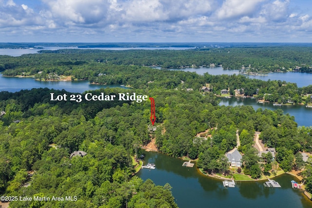 74 Cedar Rdg, Alexander City, AL 35010 - aerial overview of property's location featuring a heavily wooded area and a large body of water
