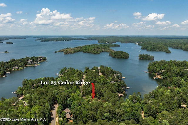 74 Cedar Rdg, Alexander City, AL 35010 - drone / aerial view of a nearby body of water and a forest