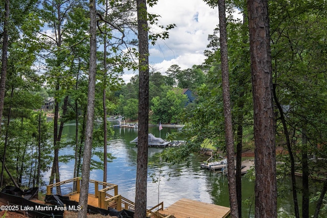 74 Cedar Rdg, Alexander City, AL 35010 - water view with a floating dock