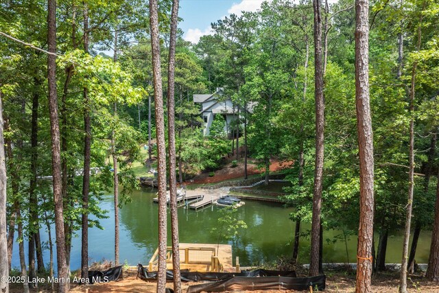 74 Cedar Rdg, Alexander City, AL 35010 - water view with a floating dock