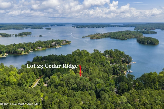74 Cedar Rdg, Alexander City, AL 35010 - drone / aerial view of a large body of water