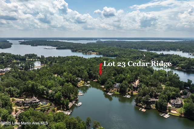 74 Cedar Rdg, Alexander City, AL 35010 - bird's eye view of a forest and a large body of water