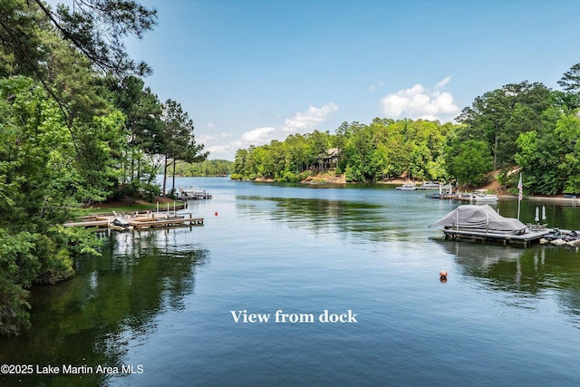 74 Cedar Rdg, Alexander City, AL 35010 - dock area with a water view and a view of trees