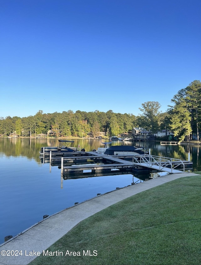 dock area with a water view and a yard