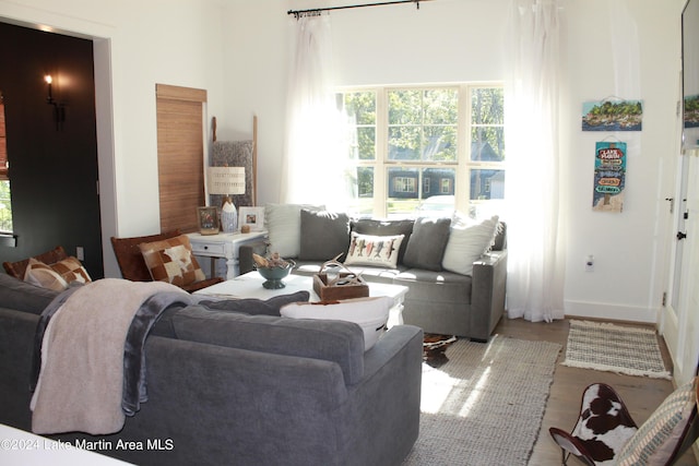 living room with wood-type flooring