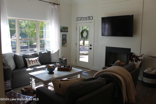 living room featuring a large fireplace and wood-type flooring