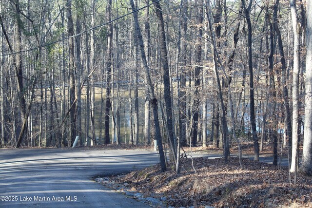 Crestview Ln, Dadeville, AL 36853 - photo 9