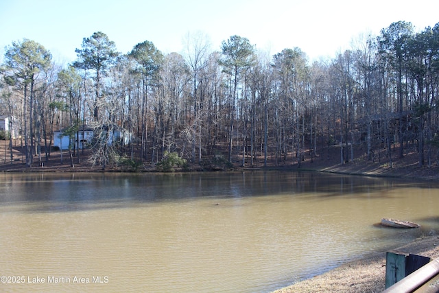 Crestview Ln, Dadeville, AL 36853 - photo 4