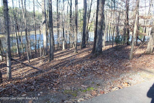 Crestview Ln, Dadeville, AL 36853 - photo 10