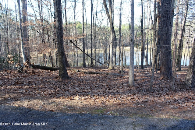 Crestview Ln, Dadeville, AL 36853 - photo 5