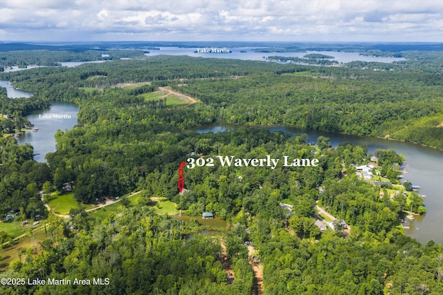 302 Waverly Ln, Jacksons Gap, AL 36861 - photo 6