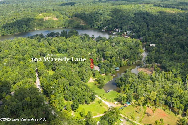 302 Waverly Ln, Jacksons Gap, AL 36861 - photo 8