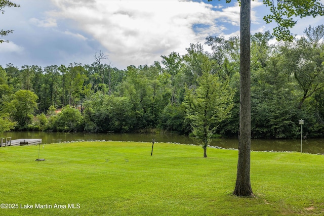 302 Waverly Ln, Jacksons Gap, AL 36861 - photo 14