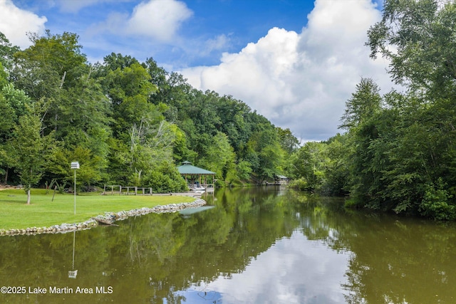 302 Waverly Ln, Jacksons Gap, AL 36861 - photo 11