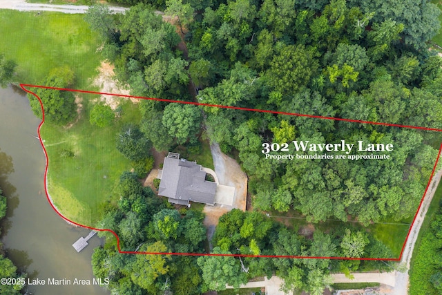 302 Waverly Ln, Jacksons Gap, AL 36861 - photo 3