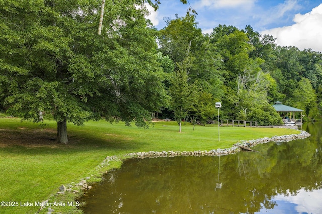302 Waverly Ln, Jacksons Gap, AL 36861 - photo 10